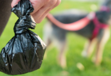 Why Choose Flushable Dog Waste Bags?